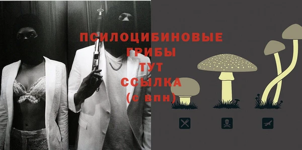 шишки Алексеевка