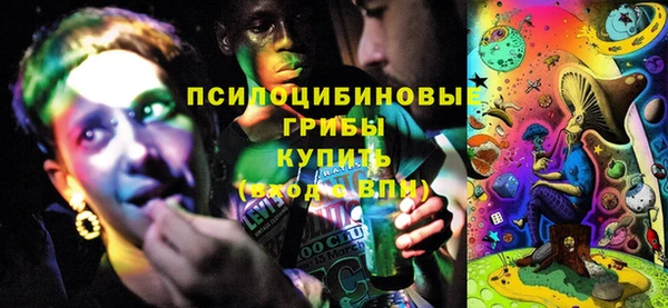 шишки Алексеевка