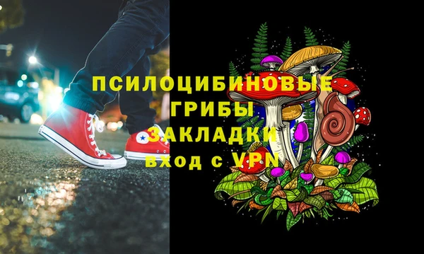 шишки Алексеевка