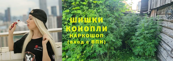 соль ск Алзамай